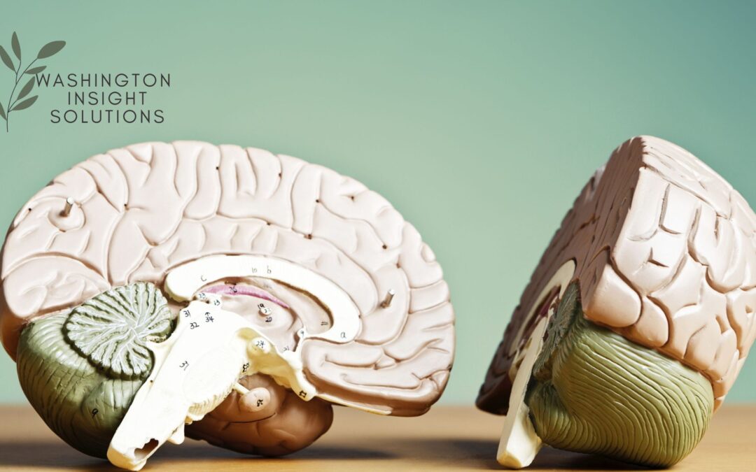 What Can Neuropsychological Testing Diagnose?